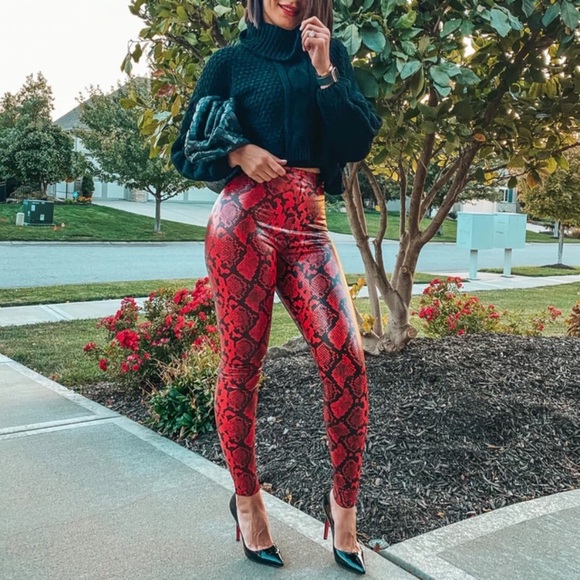 Commando Faux Leather Legging in Red Snake 45759 - Picture 1 of 11